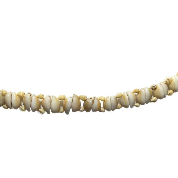 Vintage Cowrie Shell Belts - Three Sizes - Picture 10 of 10